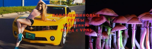 мдпв Беломорск
