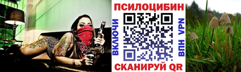 Галлюциногенные грибы MAGIC MUSHROOMS Нефтекумск