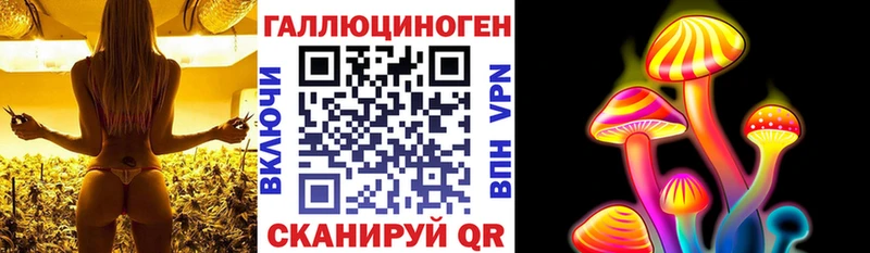 мега сайт  Нефтекумск  Псилоцибиновые грибы MAGIC MUSHROOMS 